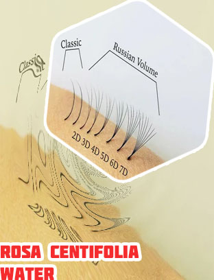 Eyelash extensions zona rosa